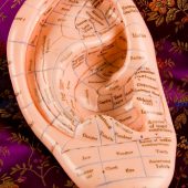 Auriculotherapy